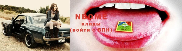 индика Волоколамск