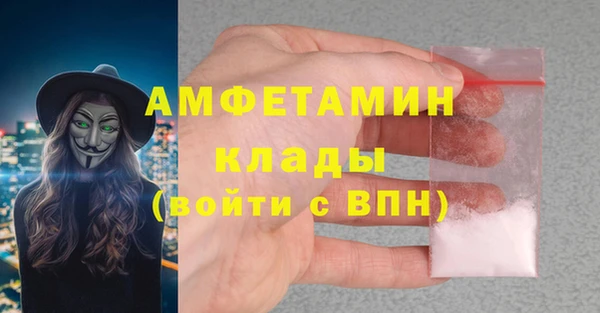 индика Волоколамск