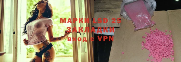 индика Волоколамск