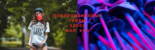индика Волоколамск