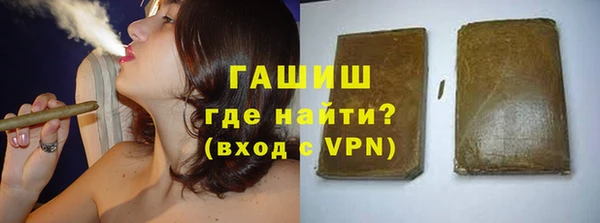 индика Волоколамск