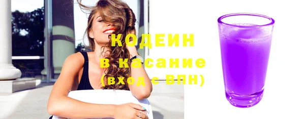 индика Волоколамск