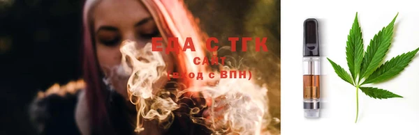 индика Волоколамск