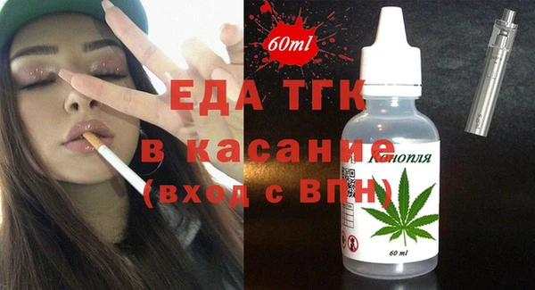 индика Волоколамск