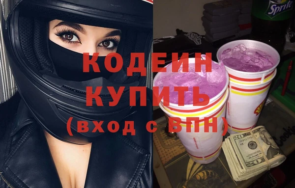индика Волоколамск