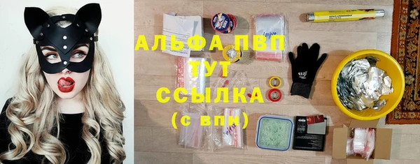 индика Волоколамск