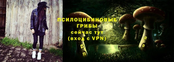 индика Волоколамск