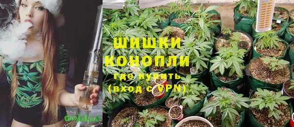 индика Волоколамск