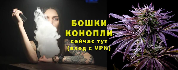 spice Володарск